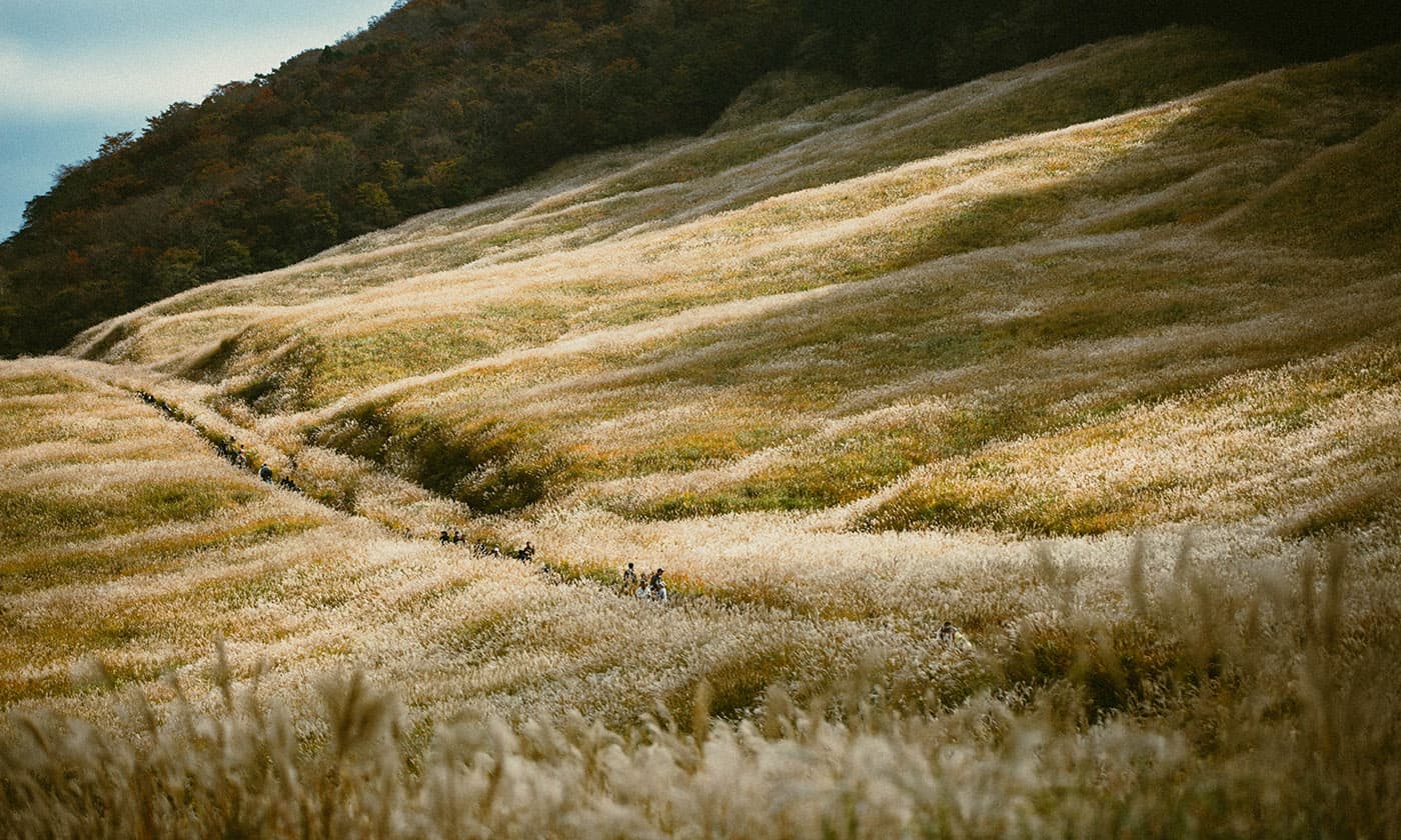 Photograph: sengoku 2