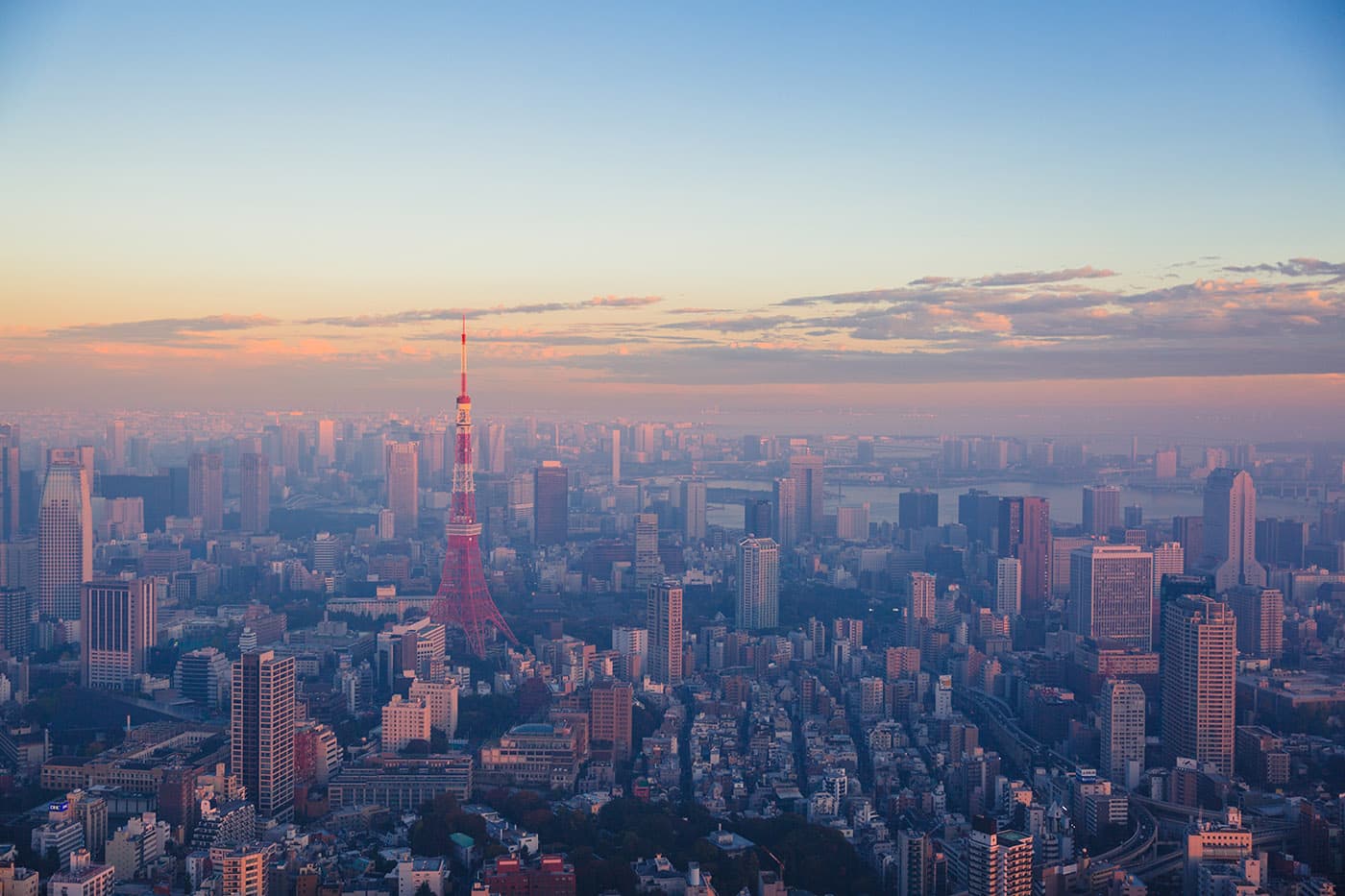 Photograph: tokyo tower