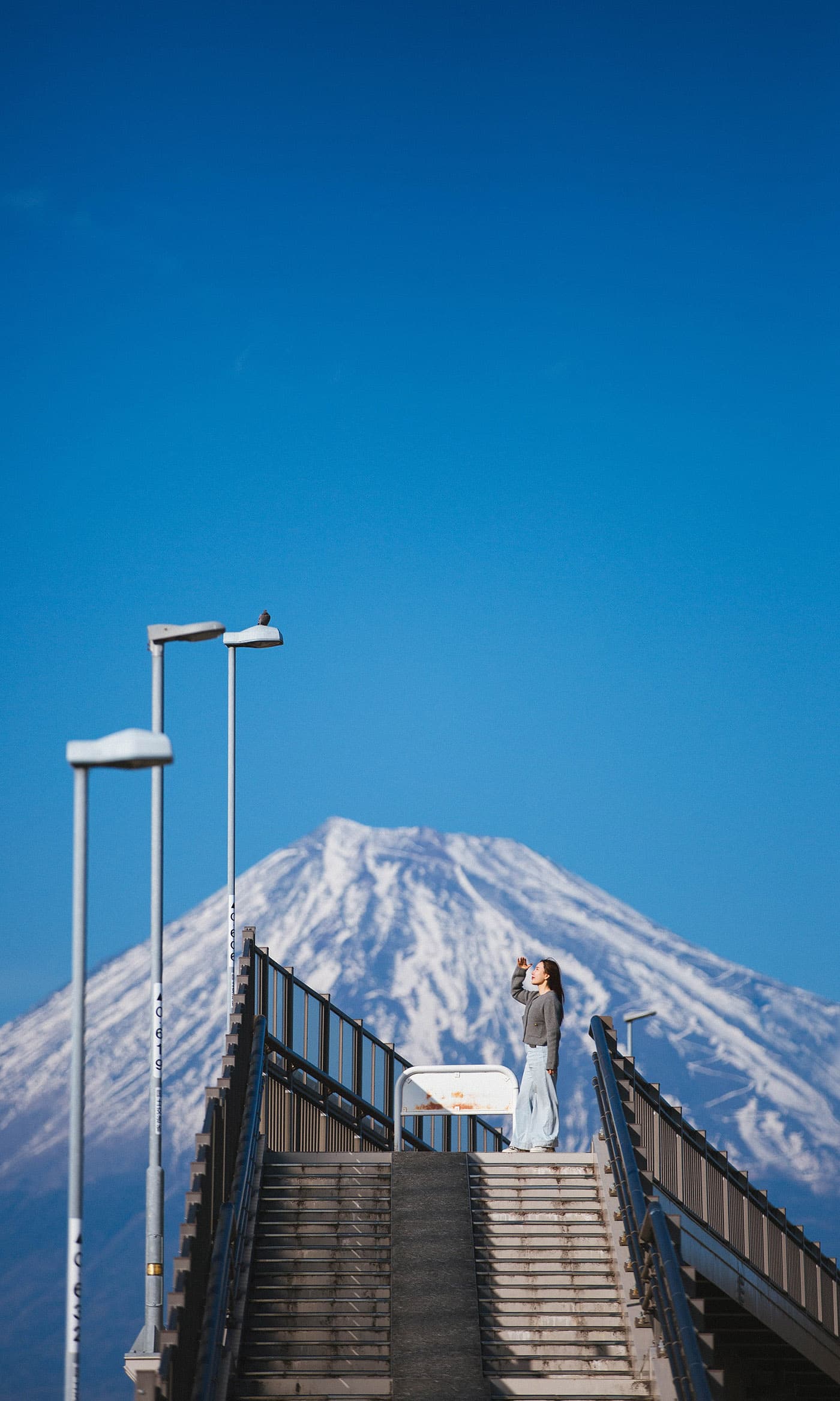 Photograph: yumemi fuji